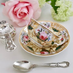 Yates Teacup, Persian Revival Patt. 1559, circa 1830