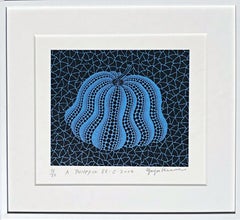 A Pumpkin BB-C (330, Kusama)