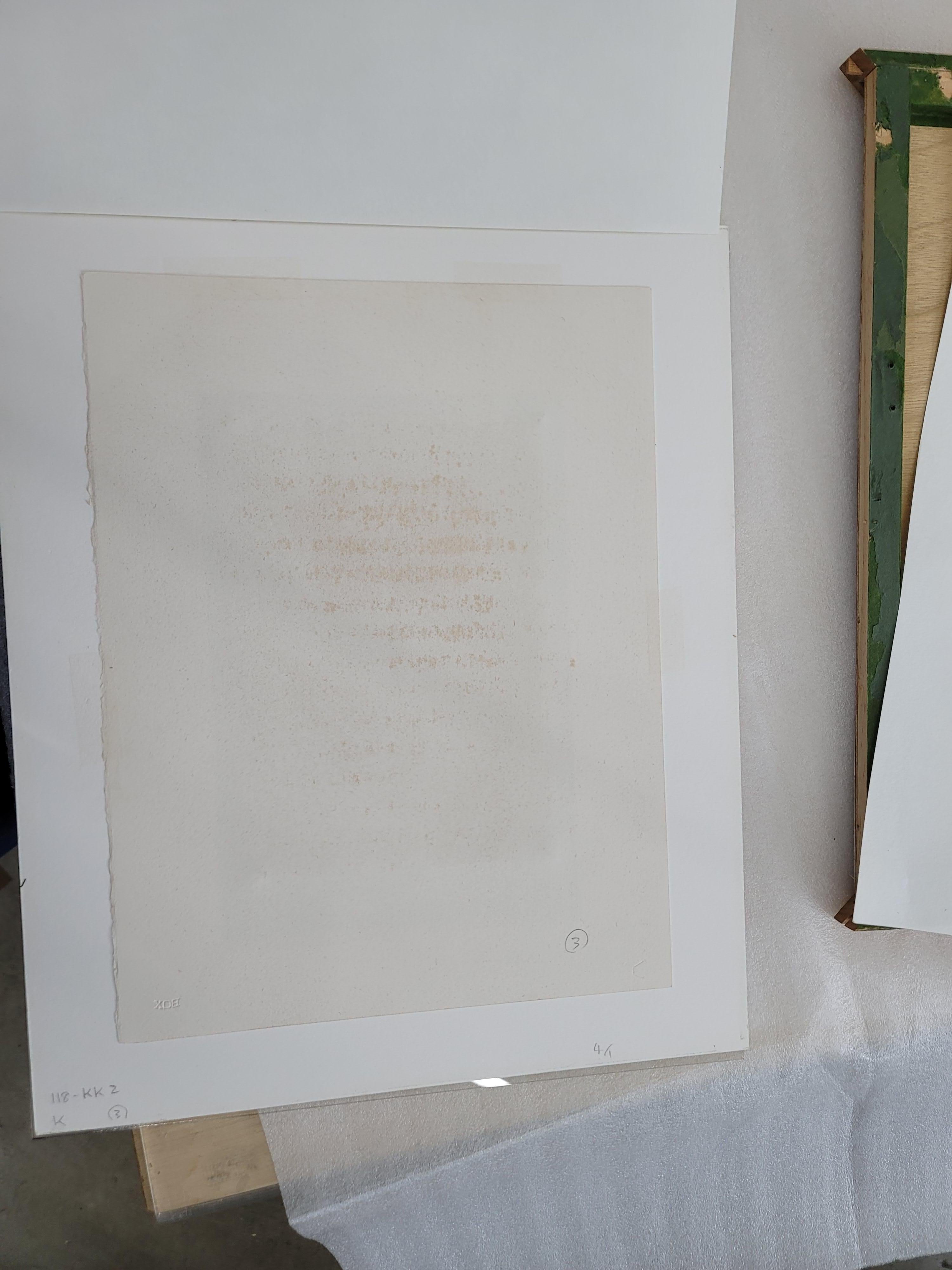 Fiore (1982), litografia, edizione limitata di 100 esemplari di Yayoi Kusama (ABE 10) in vendita 4