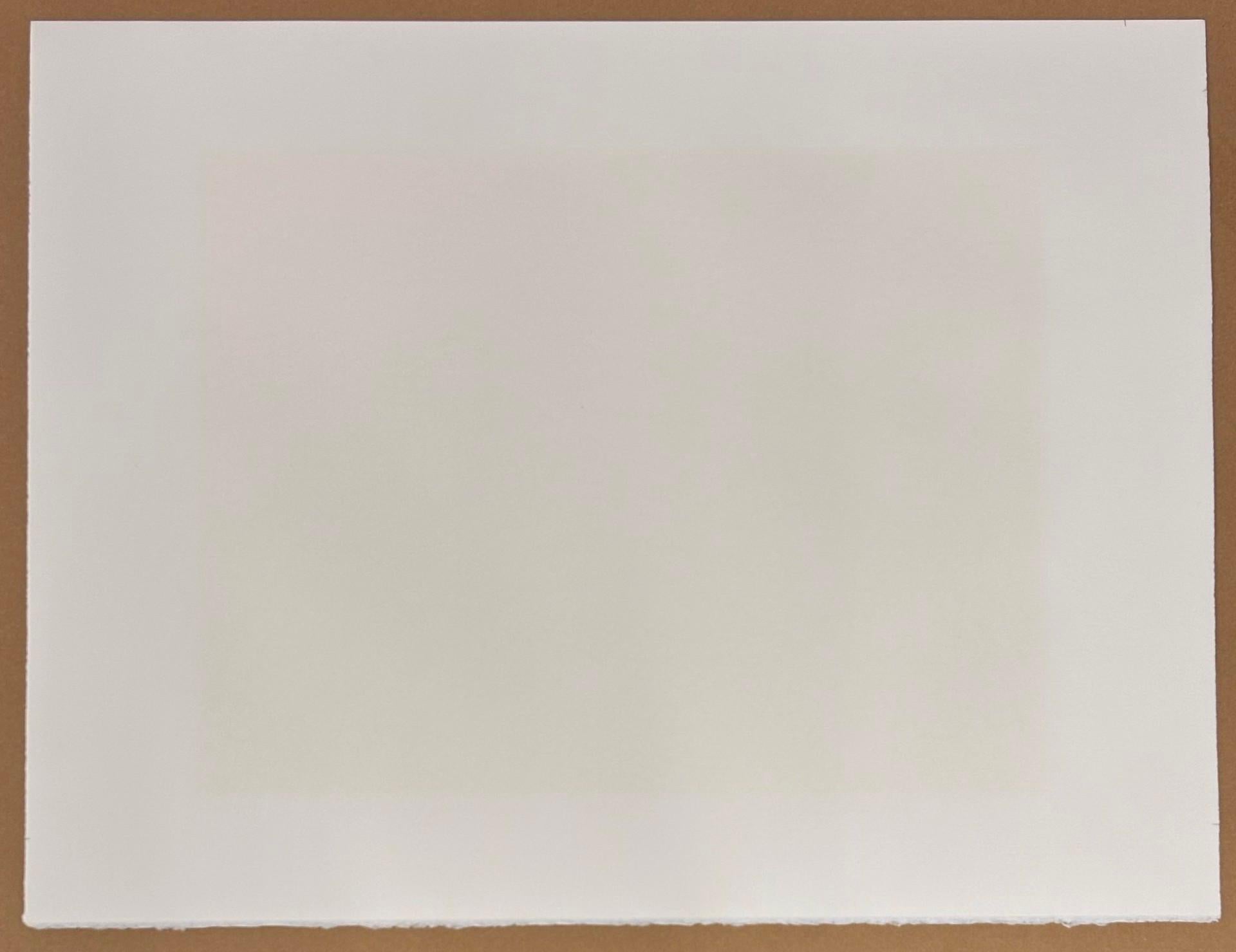 Unendliche Netze, 1953-1984 Limitierte Auflage, signiert von Yayoi Kusama im Angebot 2