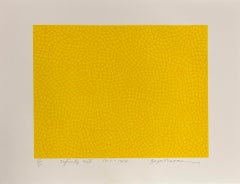 Unendliche Netze, 1953-1984 Limitierte Auflage, signiert von Yayoi Kusama