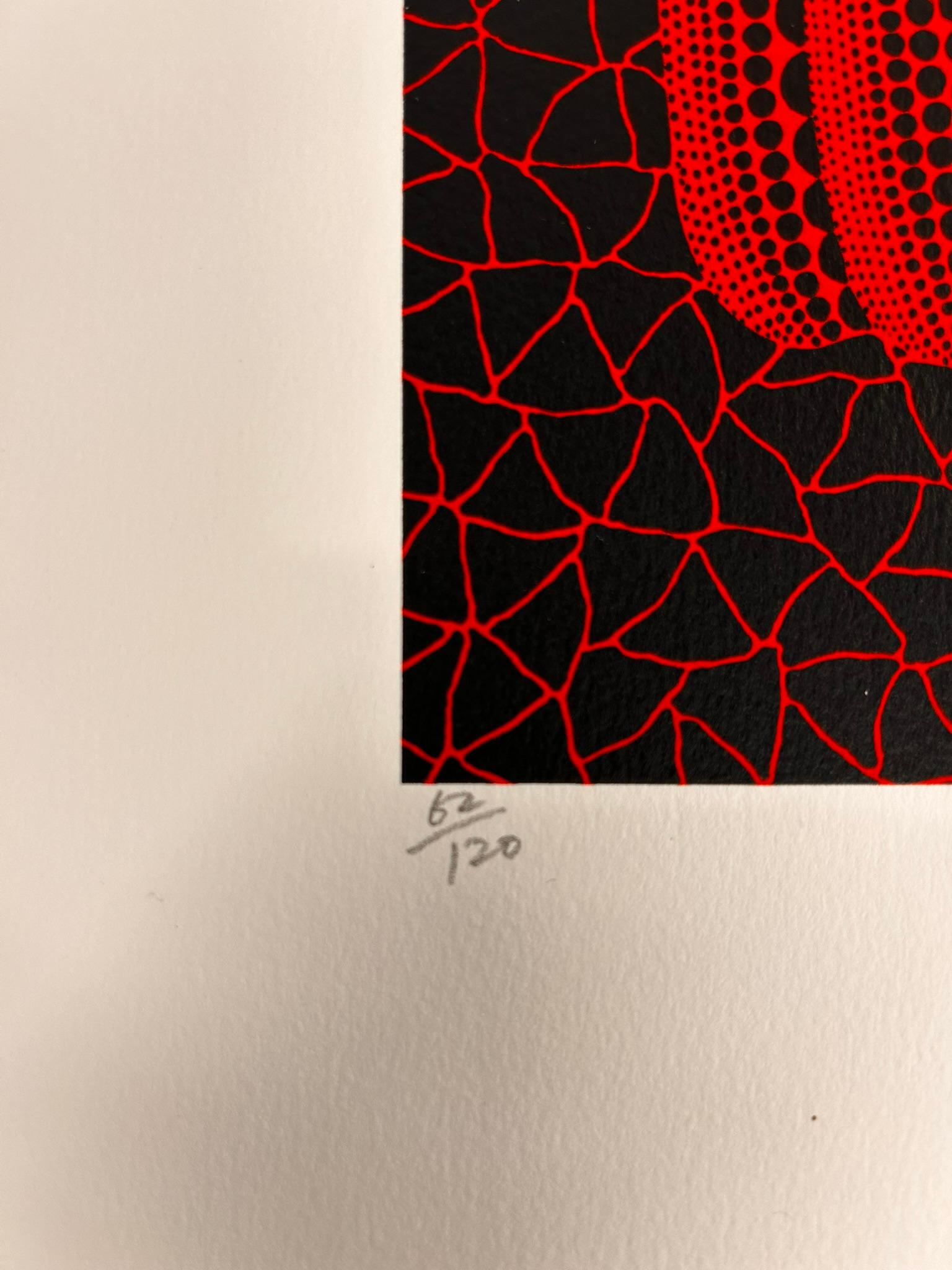 Calabaza (RT)  Yayoi Kusama estampado calabaza edición limitada rojo estampado abstracto 3