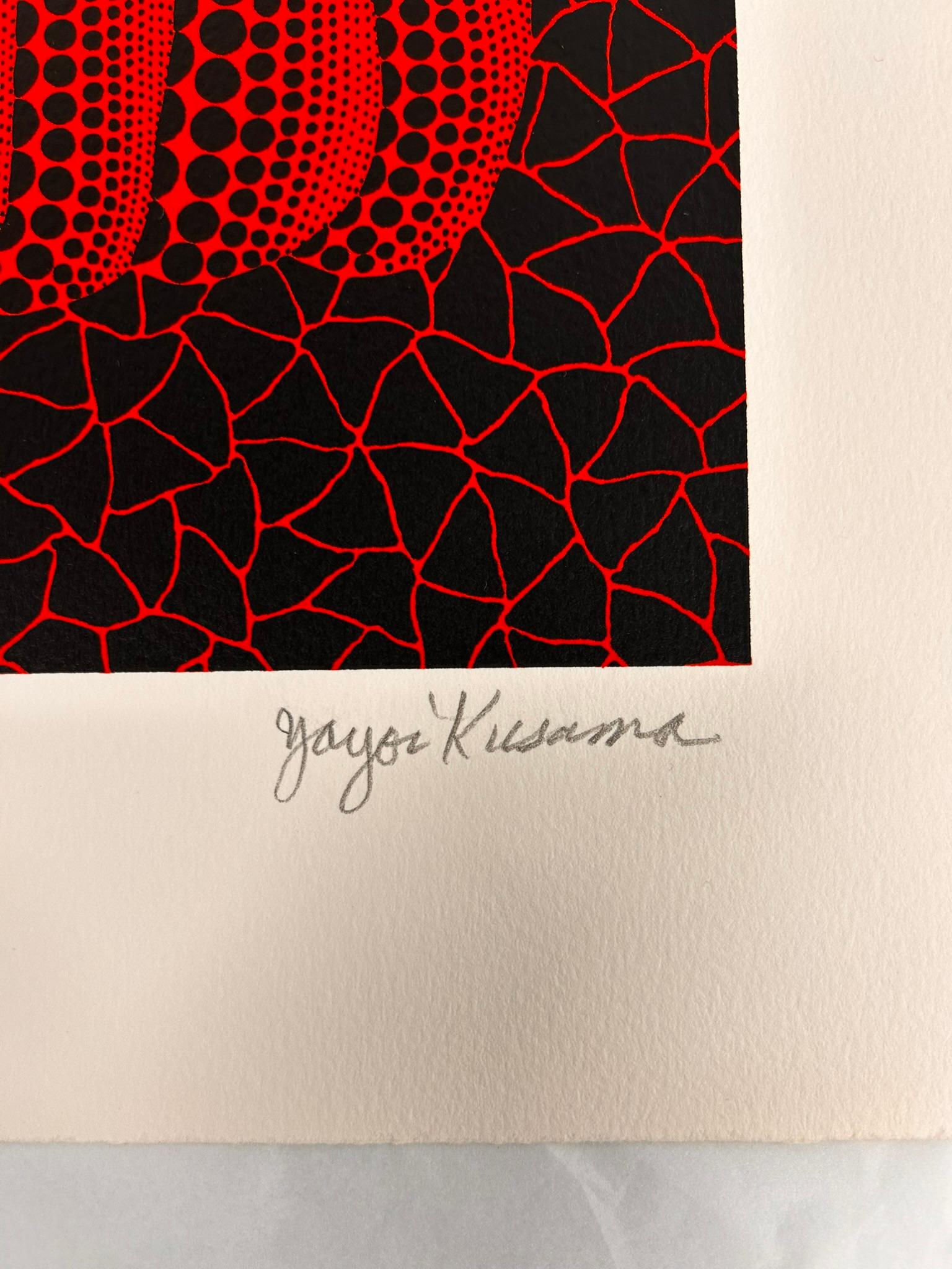 Calabaza (RT)  Yayoi Kusama estampado calabaza edición limitada rojo estampado abstracto 5