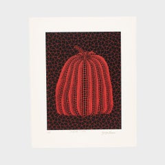 Calabaza (RT)  Yayoi Kusama estampado calabaza edición limitada rojo estampado abstracto