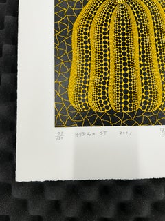 Citrouille ST (Kusama 301)