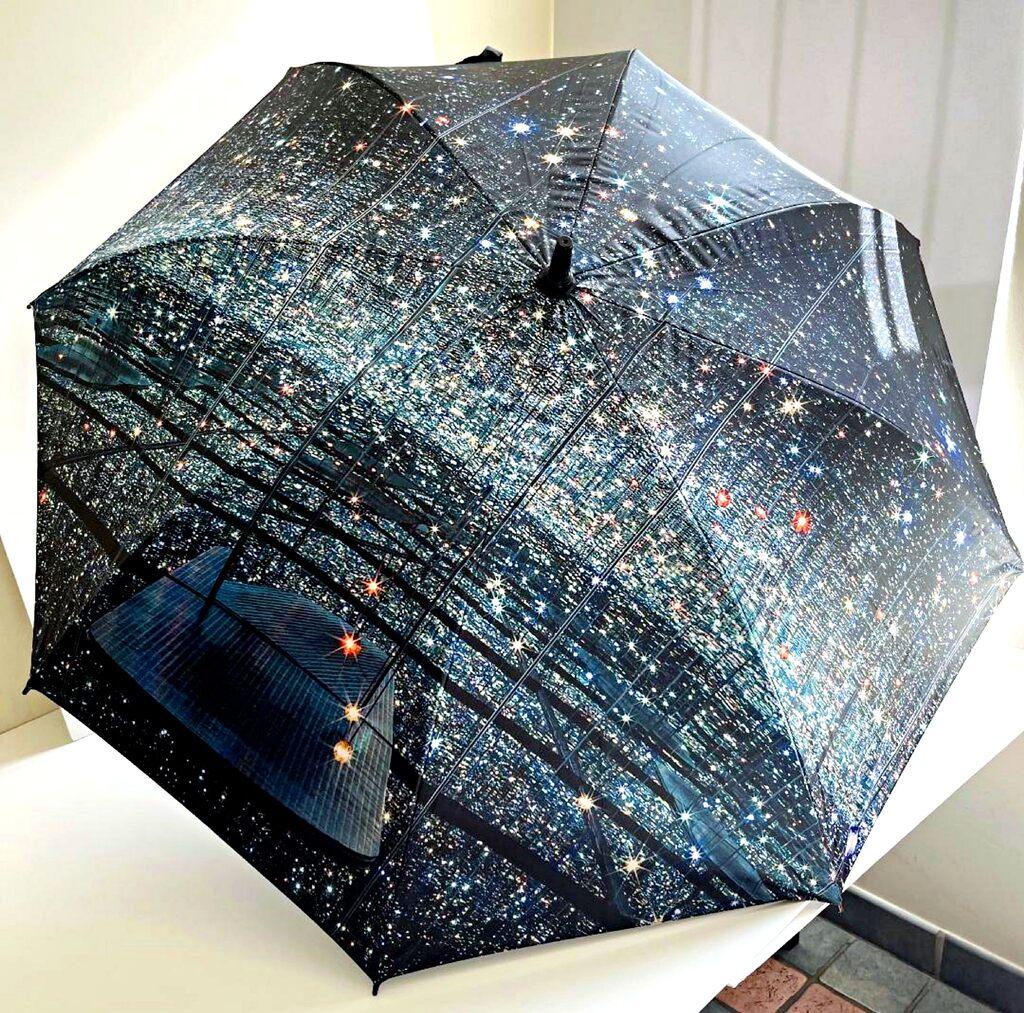 Yayoi Kusama
Infinity Umbrella, 2014
Silkscreen on 100% polyester umbrella with plastic handle
37 × 54 × 54 inches

This limited edition silkscreened umbrella was created exclusively for the Broad Museum in collaboration with Yayoi Kusama
s studio,