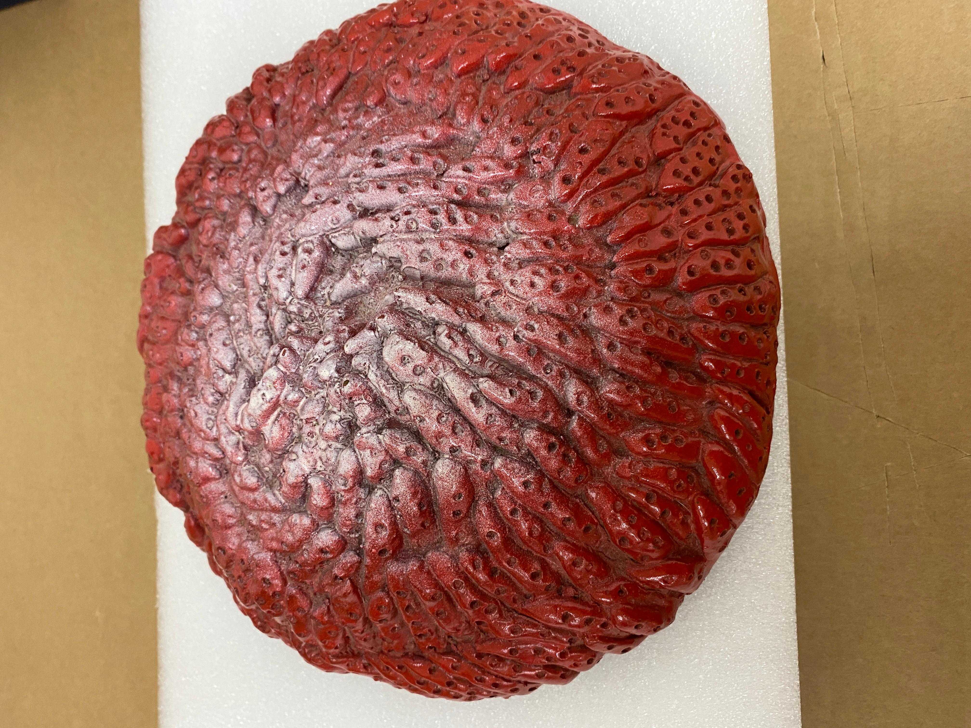 Strawberry 1. Bronzeskulptur von Yayoi Kusama (1974/93) Limitierte Auflage von 30 Stück im Angebot 5