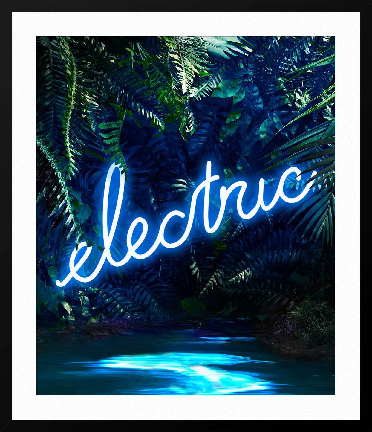 Disco in the Jungle: Electric Blue For Sale 1