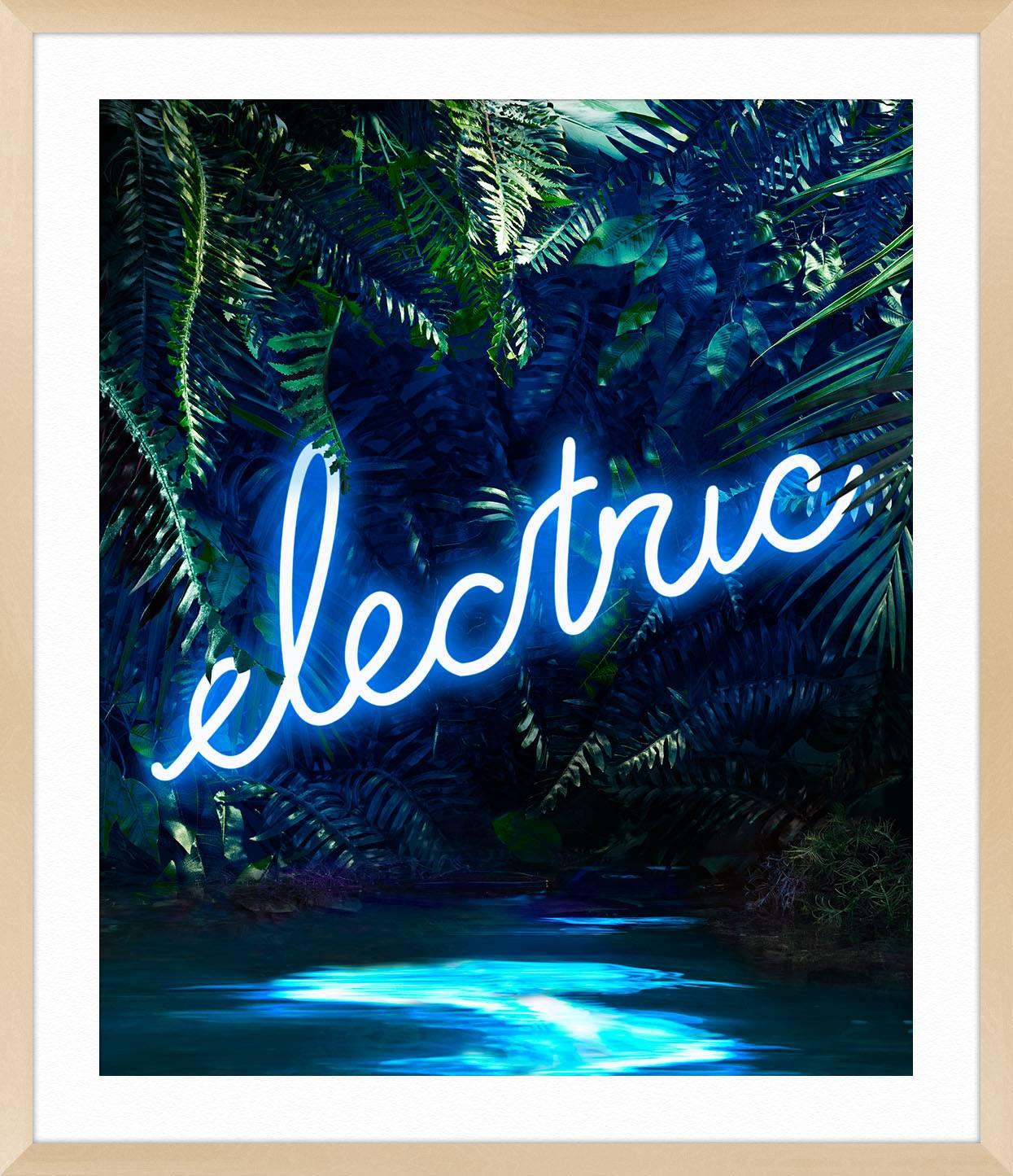 Disco in the Jungle: Electric Blue For Sale 2