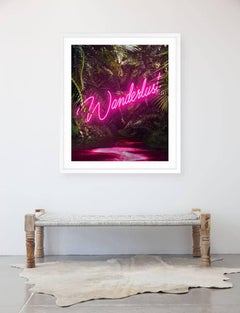 Disco in the Jungle: Wanderlust Pink