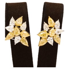 Gelbe und weiße Diamant-Cluster-Ohrringe