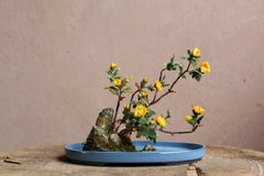 Crisantemo amarillo de Yumiko Kuwahata / Bonsái / wabi-sabi