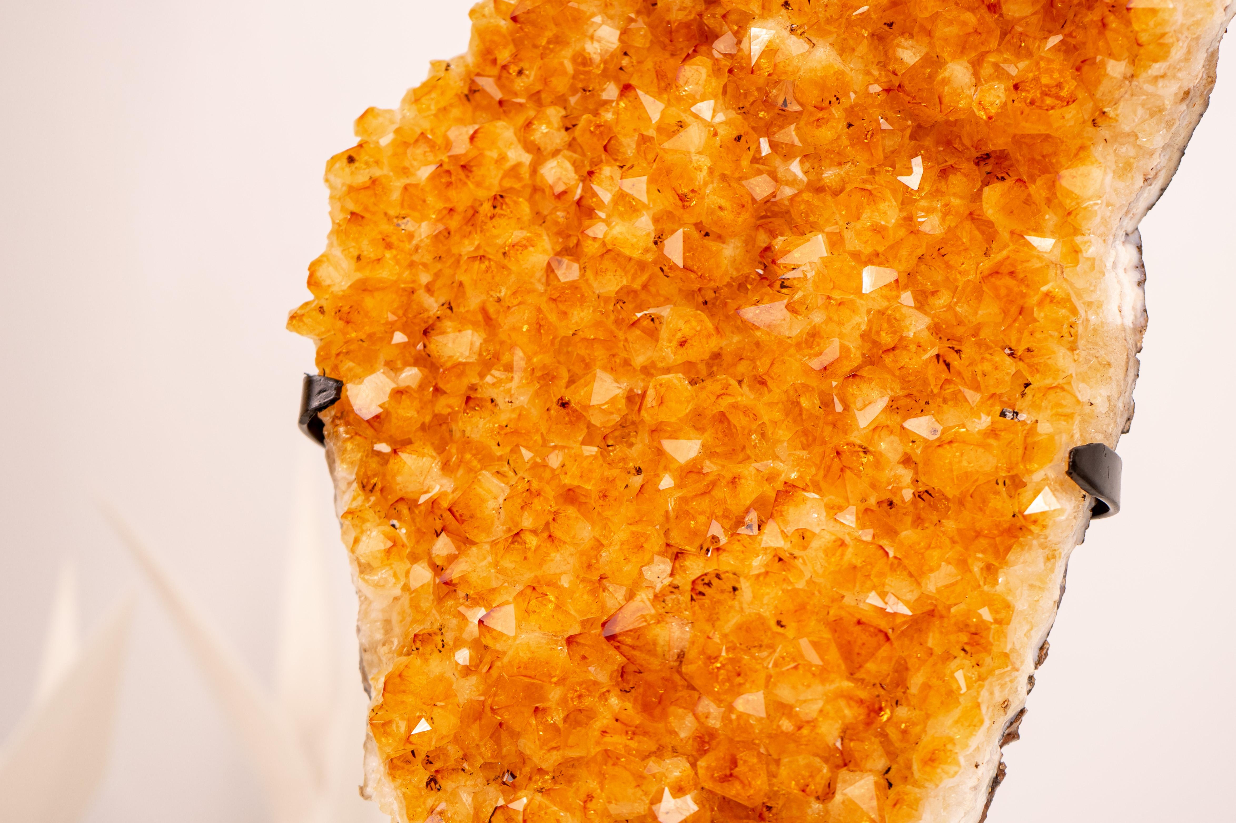 Racimo de Citrino Amarillo con Druzy de Citrino Amarillo Profundo - Decoración con Cristales Amarillos en venta 6
