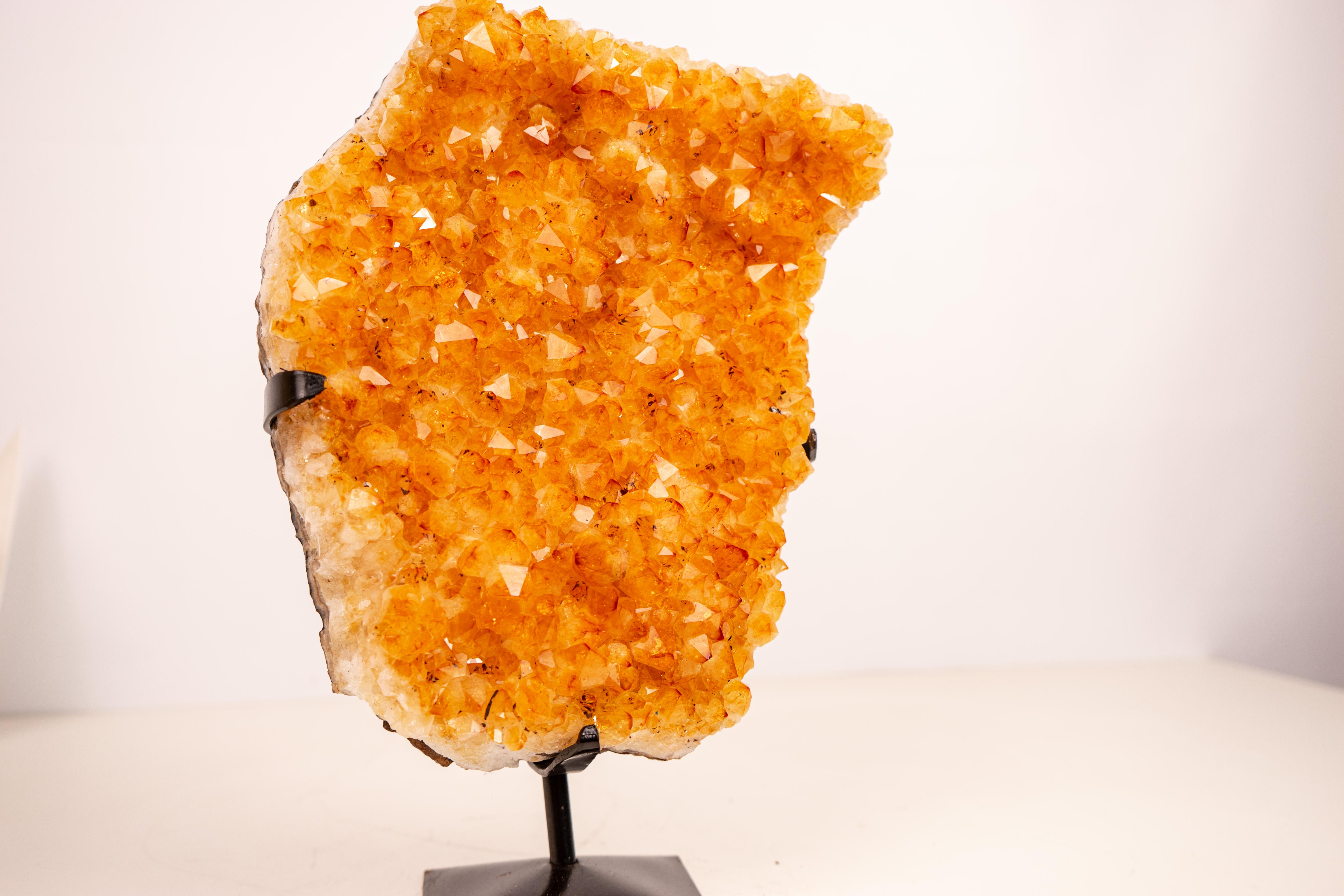 Racimo de Citrino Amarillo con Druzy de Citrino Amarillo Profundo - Decoración con Cristales Amarillos en venta 8