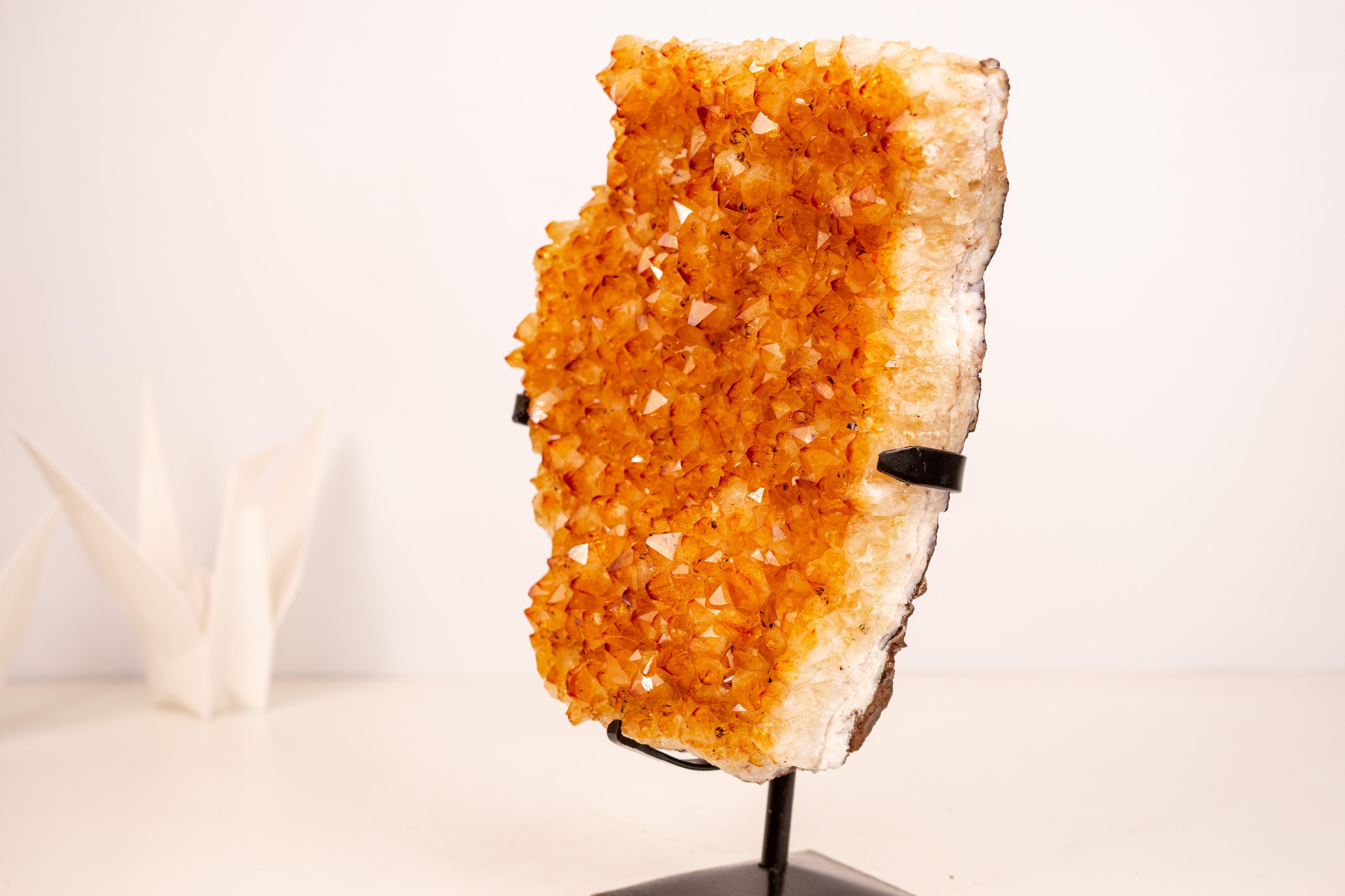 Racimo de Citrino Amarillo con Druzy de Citrino Amarillo Profundo - Decoración con Cristales Amarillos en Nuevo estado para la venta en Ametista Do Sul, BR