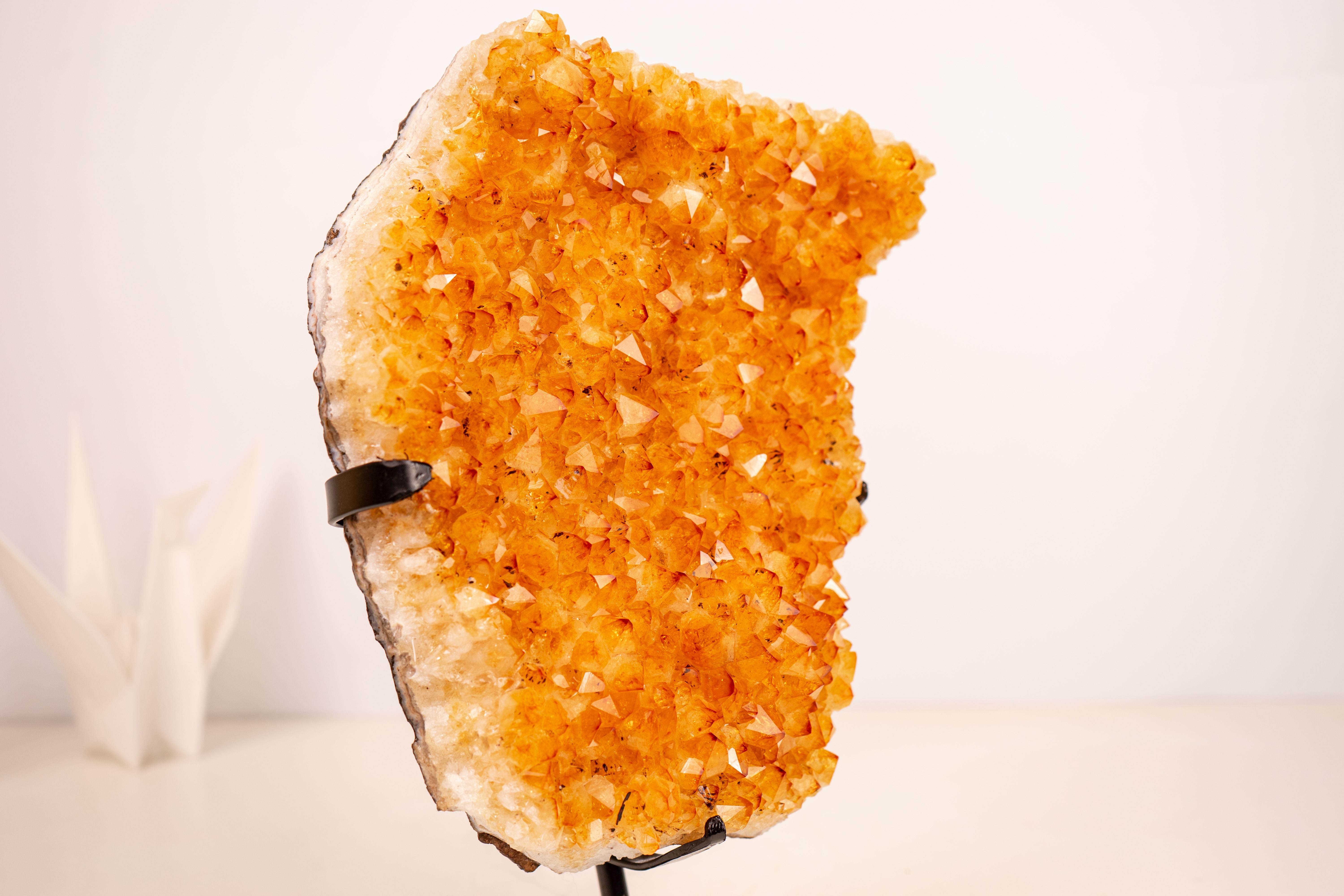 Racimo de Citrino Amarillo con Druzy de Citrino Amarillo Profundo - Decoración con Cristales Amarillos Siglo XXI y contemporáneo en venta