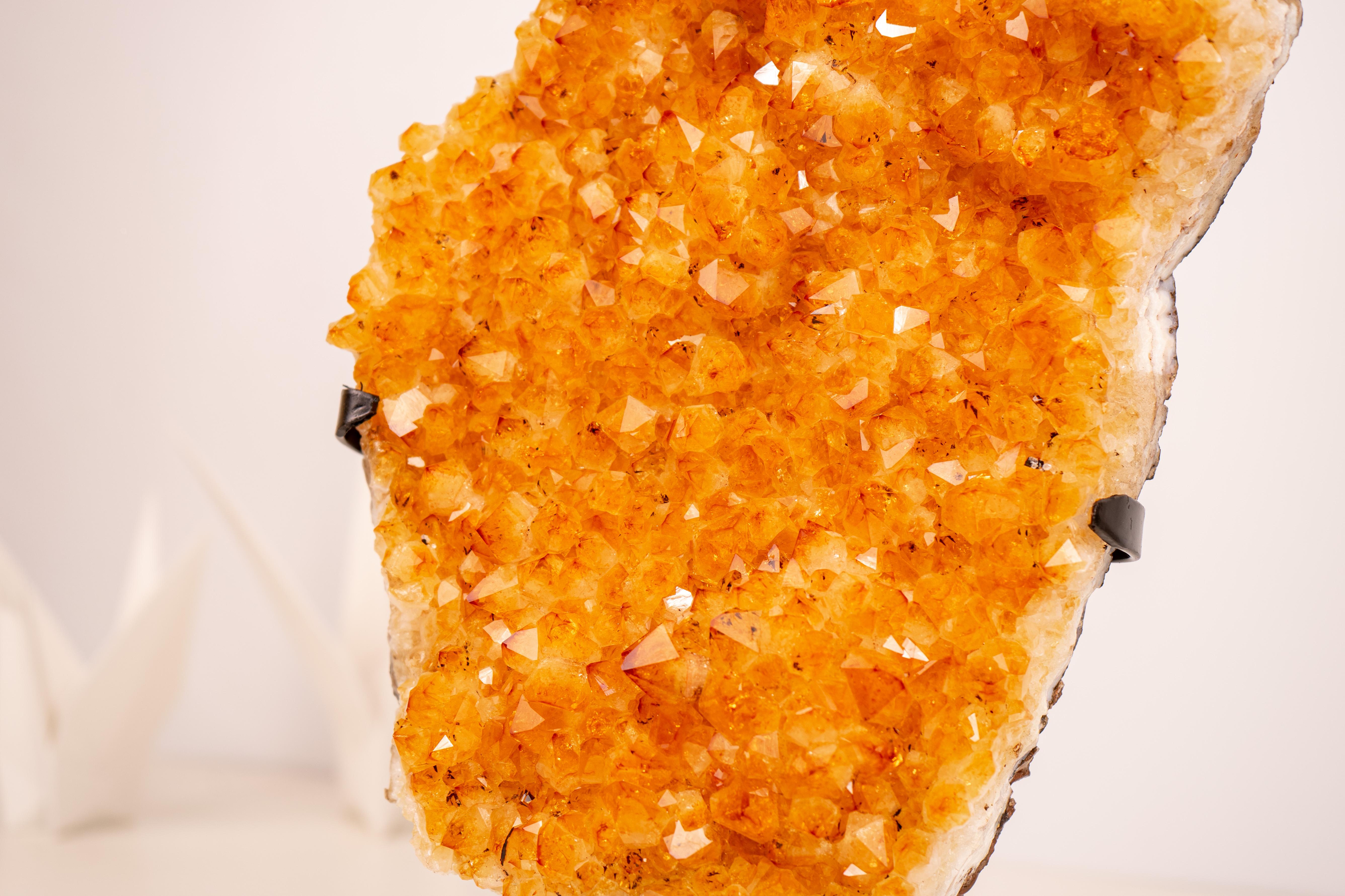 Racimo de Citrino Amarillo con Druzy de Citrino Amarillo Profundo - Decoración con Cristales Amarillos en venta 3