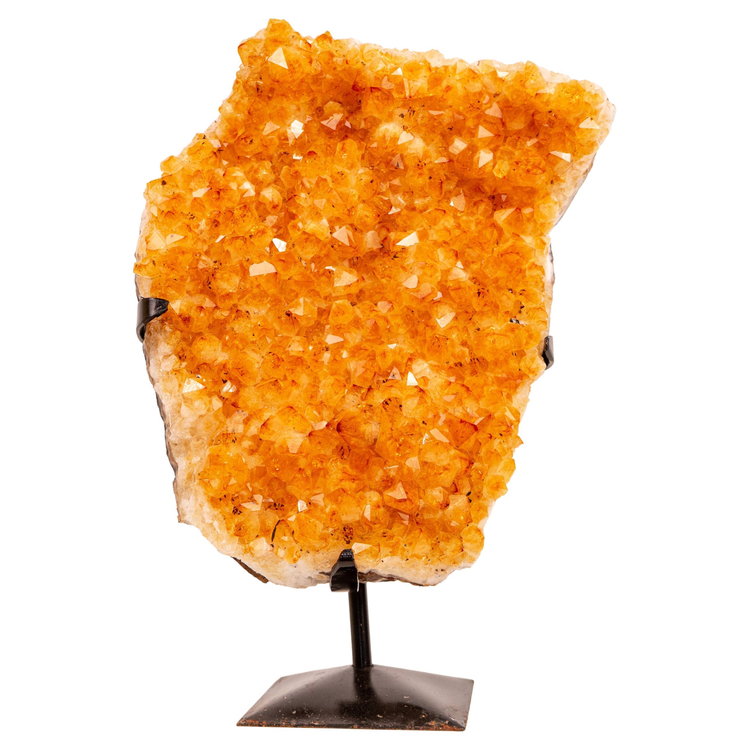 Racimo de Citrino Amarillo con Druzy de Citrino Amarillo Profundo - Decoración con Cristales Amarillos