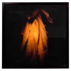 Yellow Coat, Robert Stivers Photo