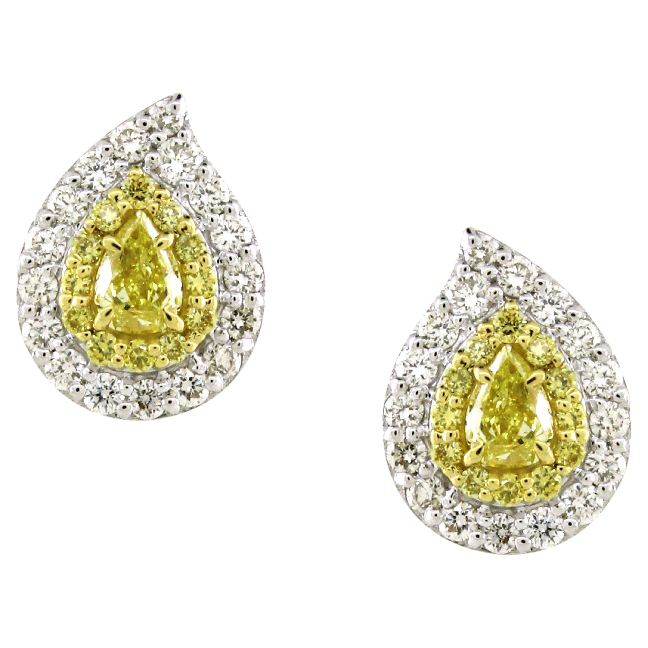 Yellow Diamond Pasley Earrings  For Sale
