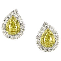 Boucles d'oreilles Pasley en diamant jaune 