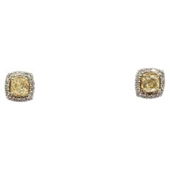 Yellow Diamond Stud Earrings 14K Two Tone Gold 0.98ctw Push Backs New