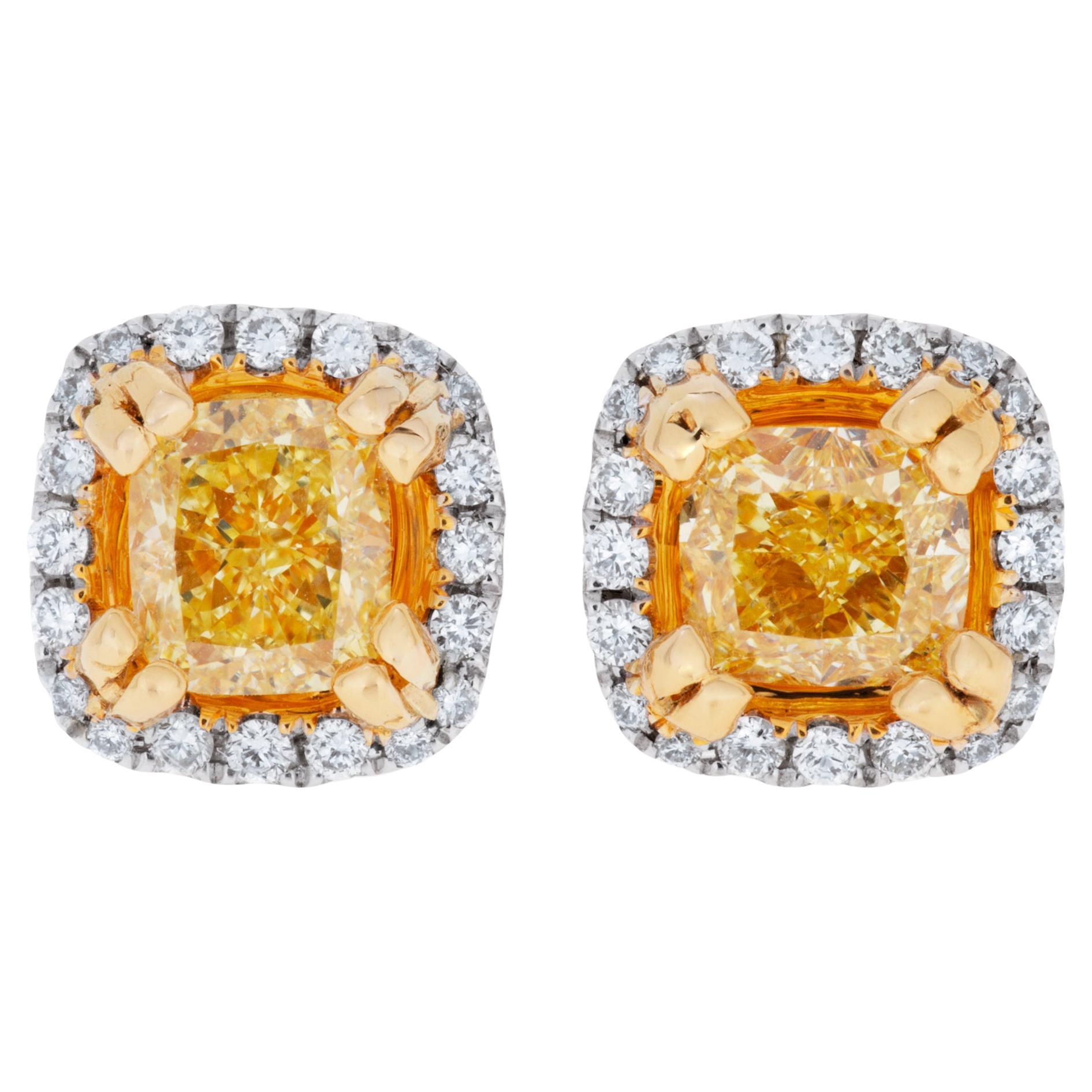 Yellow Diamond Stud Earrings in 18k White and Yellow Gold