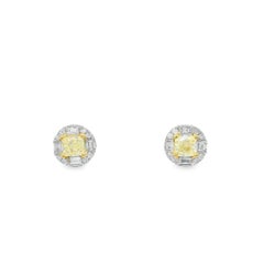 Yellow Diamond with White Diamond Halo Studs in 18K White Gold
