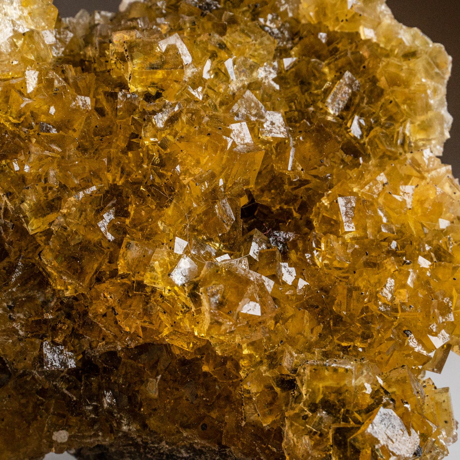 From Moscona Mine, Villabona District, Asturias, SpainAesthetic penetrating cubic formation of transparent to translucent golden yellow fluorite crystals on matrix. This specimen offers stunning visuals and reliable mineralogical integrity - a
