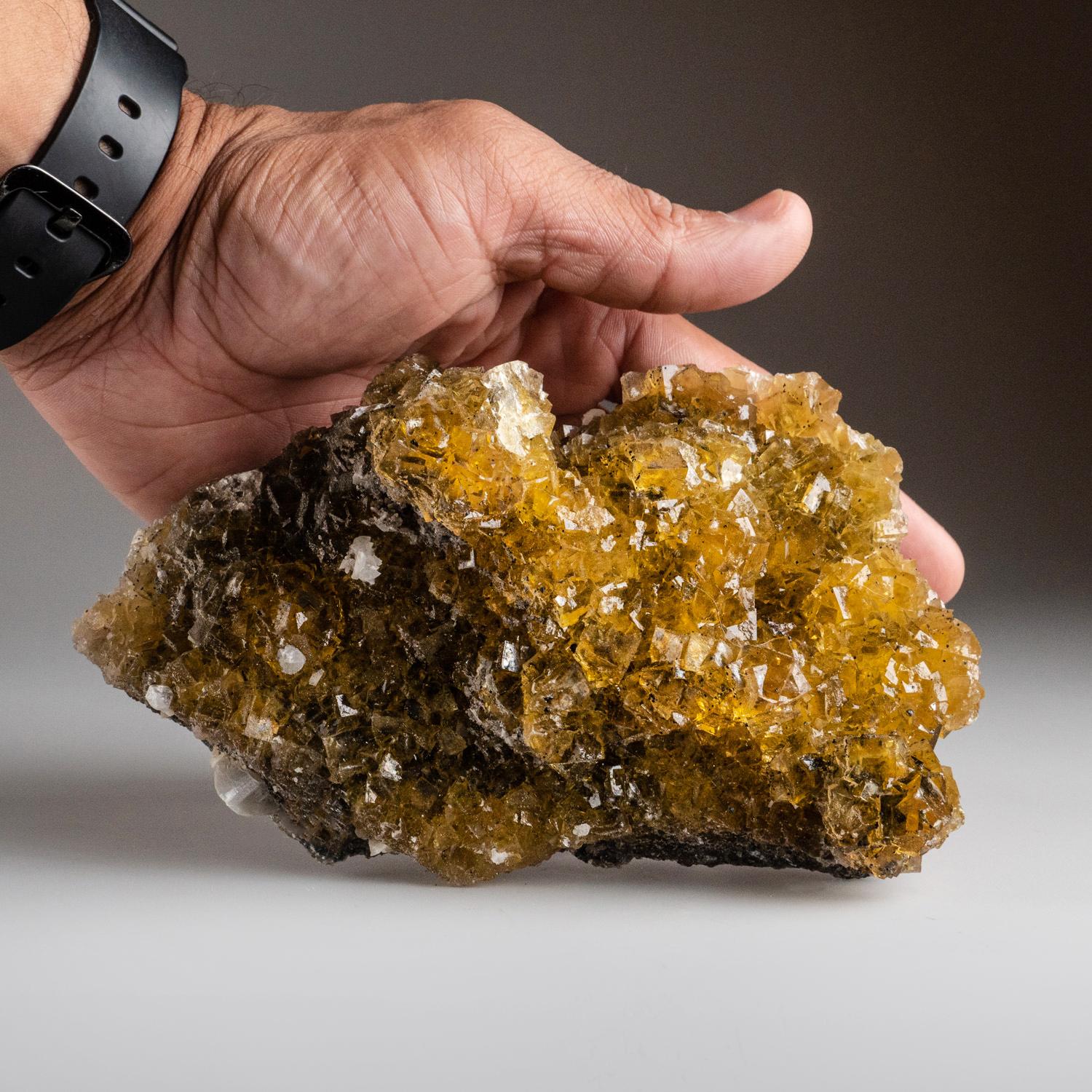 XXIe siècle et contemporain Fluorite jaune de la mine de Moscona, District de Villabona, Asturias, Espagne (1,8 lbs) en vente