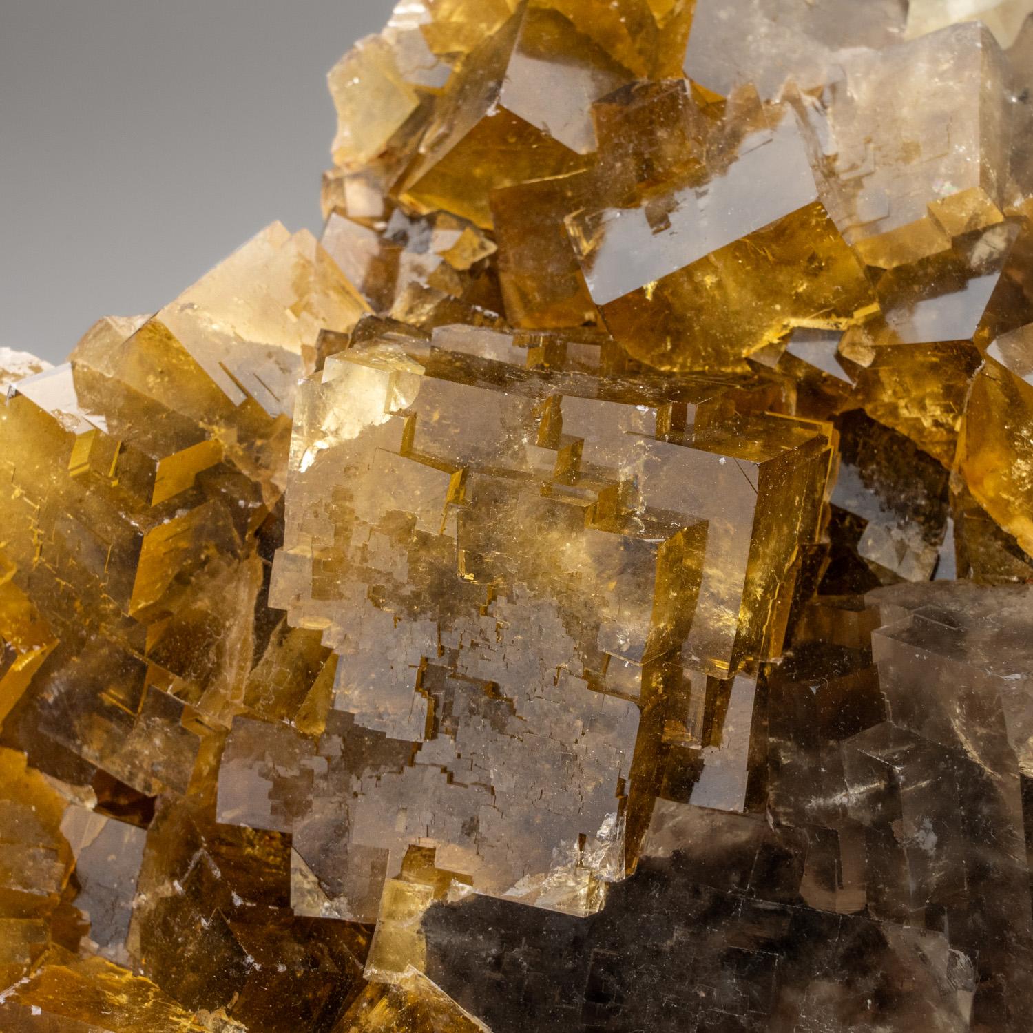 Dalla miniera di Ozark-Mahoning No. 1, distretto di Cave-in-Rock, contea di Hardin, Illinois.


Splendido gruppo di cristalli di fluorite gialla. I cristalli di fluorite sono molto cubici, traslucidi e con un'eccellente lucentezza. 


Riceverai