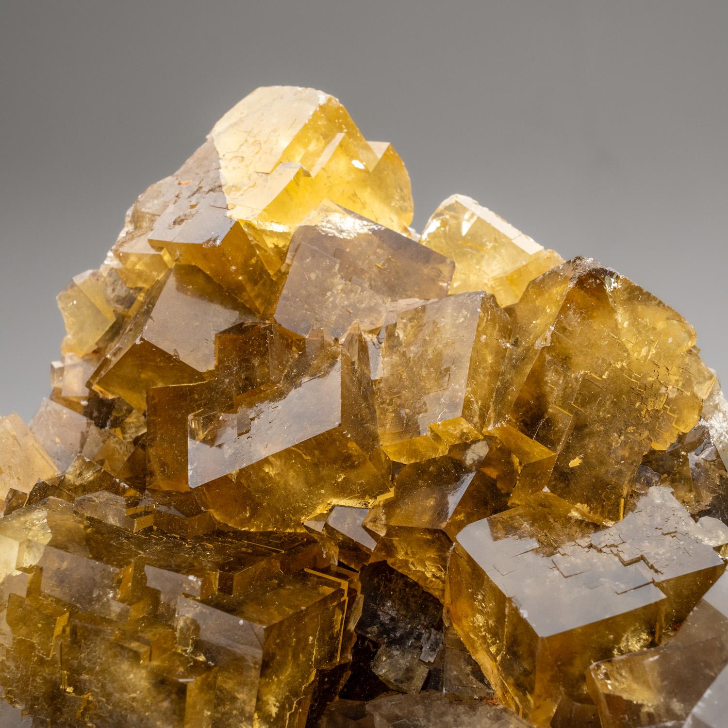 Americano Fluorite gialla dalla miniera Ozark-Mahoning No. 1, Contea di Hardin, Illinois in vendita
