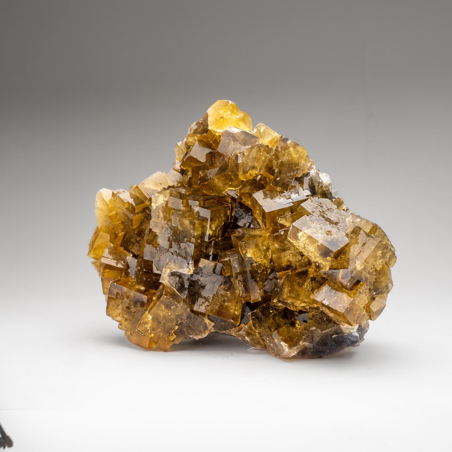 XXI secolo e contemporaneo Fluorite gialla dalla miniera Ozark-Mahoning No. 1, Contea di Hardin, Illinois in vendita