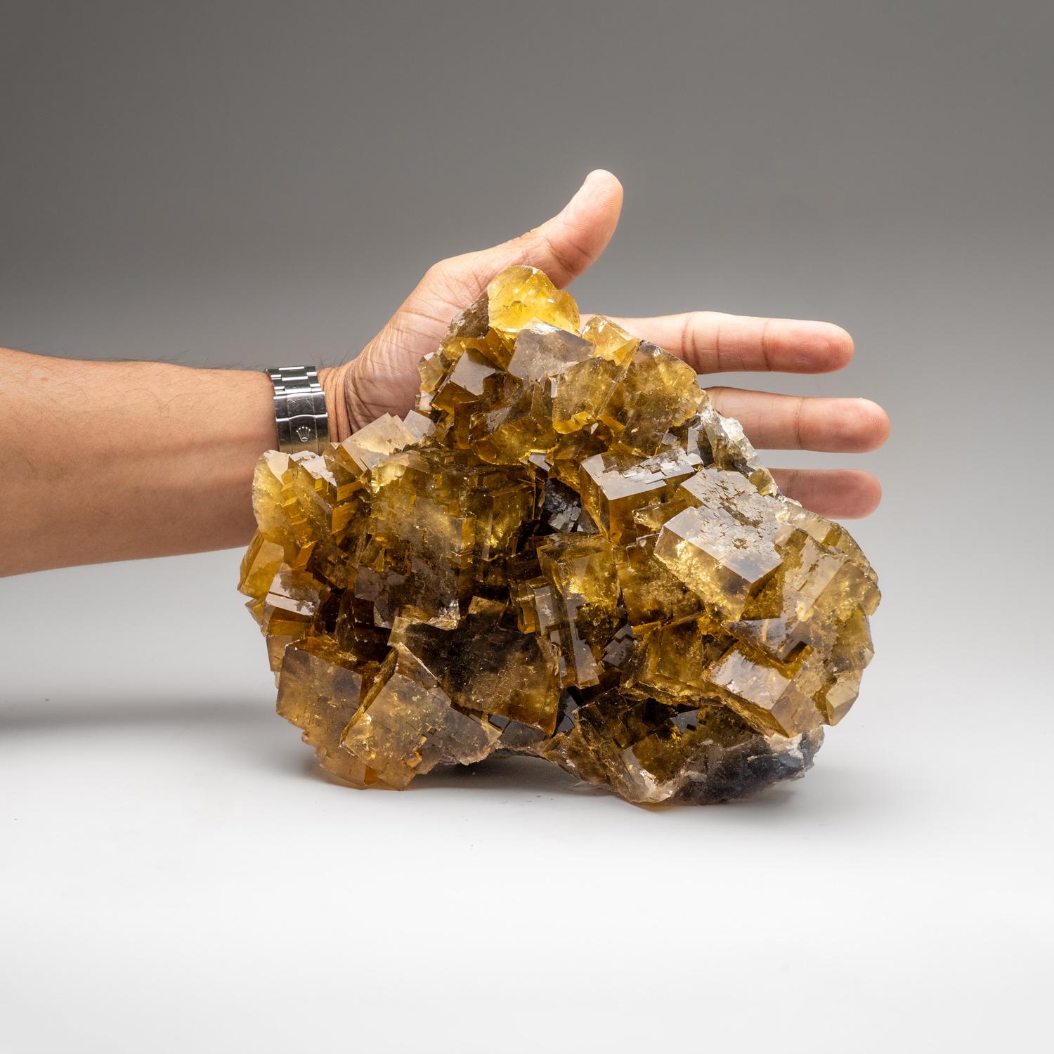 Cristallo Fluorite gialla dalla miniera Ozark-Mahoning No. 1, Contea di Hardin, Illinois in vendita