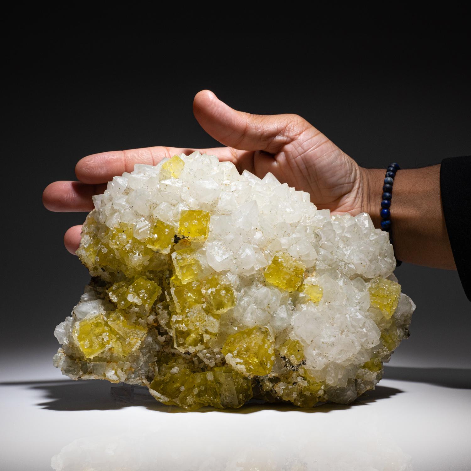 From Moscona Mine, Villabona District, Asturias, Spain.

Very aesthetic cluster of yellow crystals of cubic fluorite with a colorless calcite crystal perched on the top edge and drusy quartz overgrowth.

 

5 lbs, 6 x 6 x 4 inches