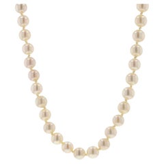 Yellow Gold Akoya Pearl Knotted Strand Necklace 37" - 18k