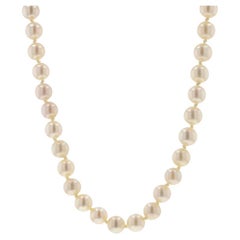 Gelbgold Akoya Perle geknotete Strand-Halskette 37" - 18k