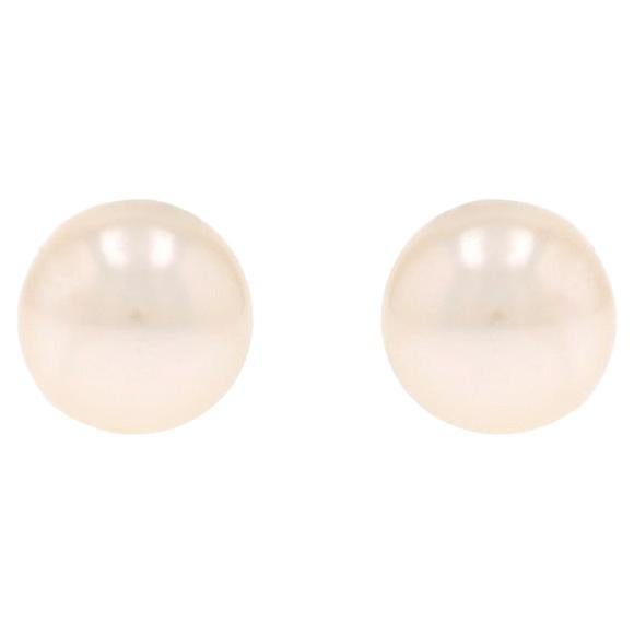Yellow Gold Akoya Pearl Stud Earrings - 14k Pierced