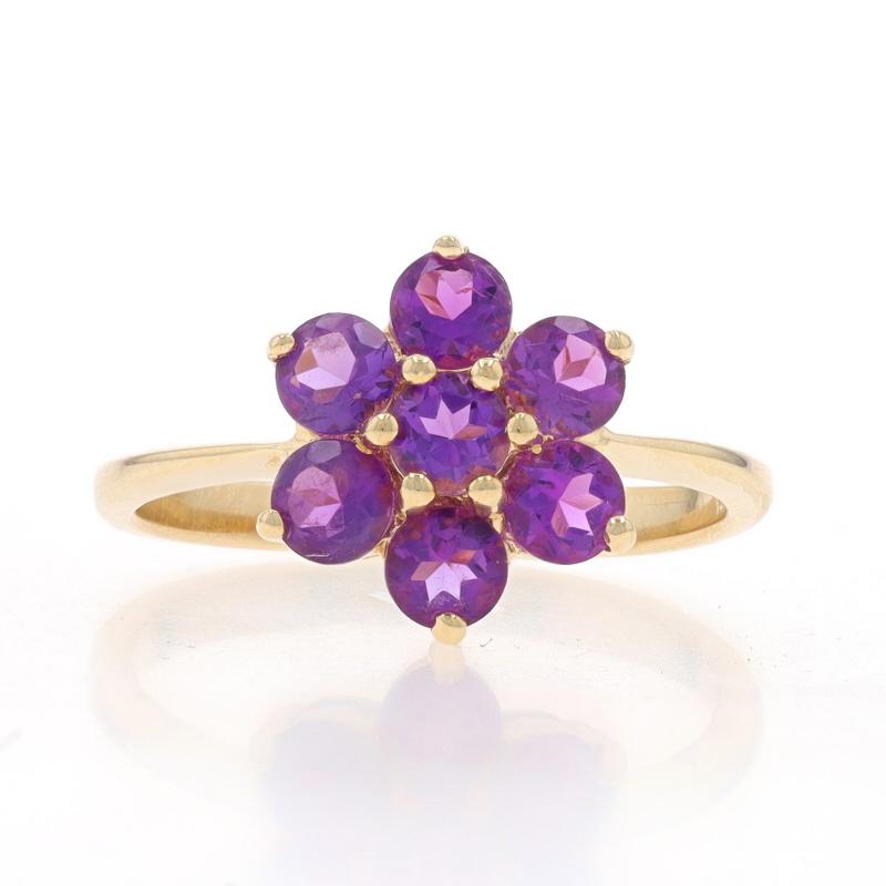 Size: 6 3/4
Sizing Fee: Up 2 sizes for $30 or Down 2 sizes for $30

Metal Content: 14k Yellow Gold

Stone Information

Natural Amethysts
Carat(s): 1.05ctw
Cut: Round
Color: Purple

Total Carats: 1.05ctw

Style: Cluster Halo
Theme: Flower,