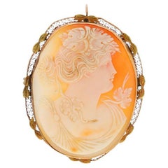 Gold Brooches