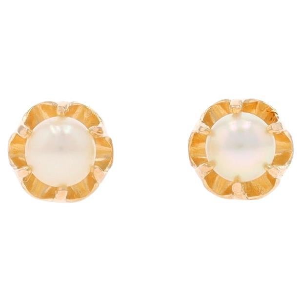 Yellow Gold Cultured Pearl Stud Earrings - 14k Buttercup Pierced Screw-Ons