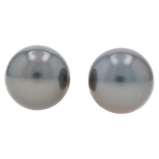 Yellow Gold Cultured Pearl Stud Earrings - 18k Tahitian