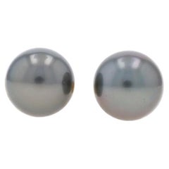 Yellow Gold Cultured Pearl Stud Earrings - 18k Tahitian