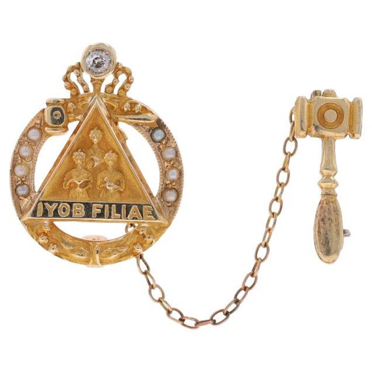 Yellow Gold Job's Daughters Vintage Past Honored Queen Badge Guard Pin 10k  Mason