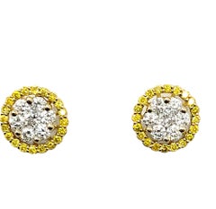 Round Diamond Cluster Stud Earrings with Yellow Diamond Halo Jackets in 14K Gold