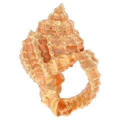 Ciondolo conchiglia in oro giallo - 14k Ocean Life Beach