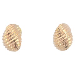Yellow Gold Shrimp Earrings