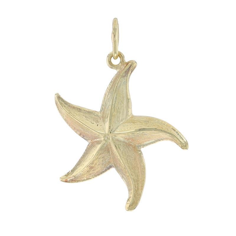 Metal Content: 14k Yellow Gold

Theme: Starfish, Ocean Life
Features: Hollow Construction with Etched Detailing

Measurements
Tall (from stationary bail): 13/16