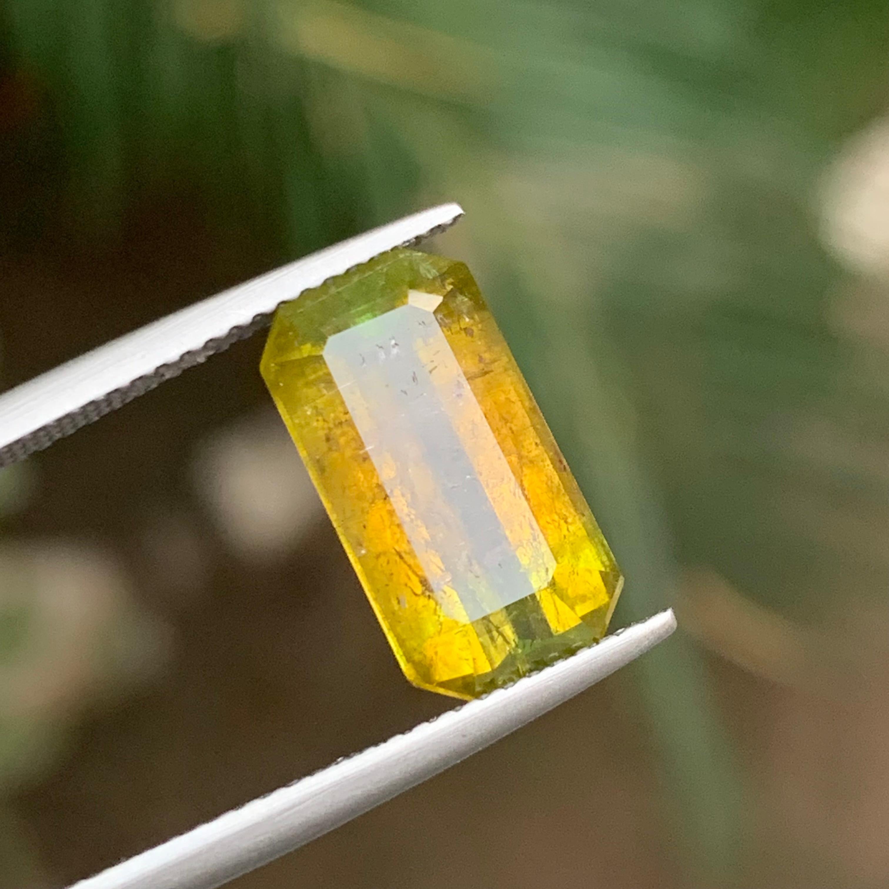 Tourmaline naturelle bicolore jaune-vert et rose pour bague, pendentif en taille émeraude d'Afghanistan !

💎 TYPE DE PIERRE PRÉCIEUSE : Tourmaline
⚖️ POIDS : 5.20 Carats
🪚 SHAPE & CUT : Taille émeraude
📏 TAILLE (MM) : 14,18 x 7,45 x 5,46
🌈 COLOR