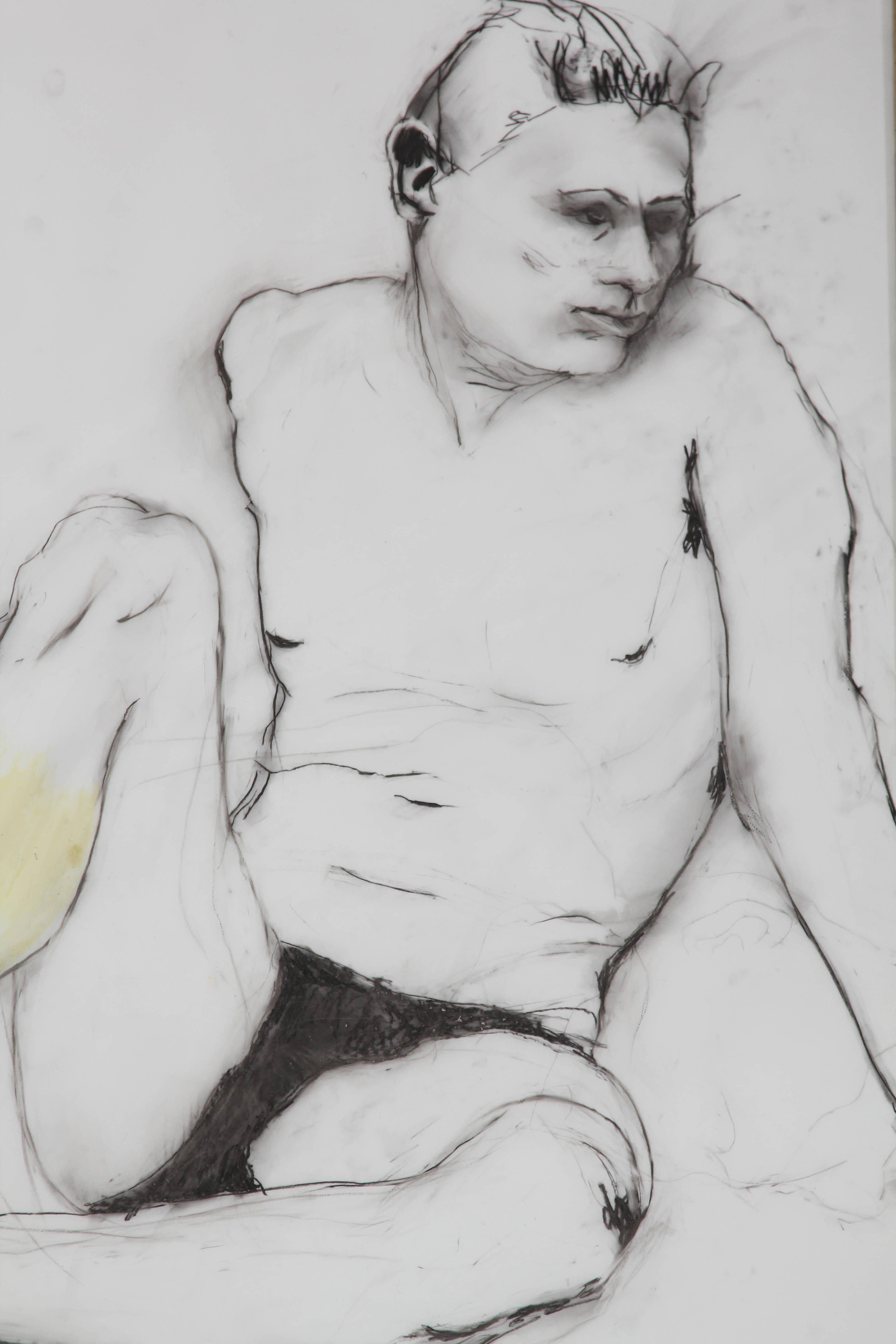 Yellow Leg Male Drawing 1